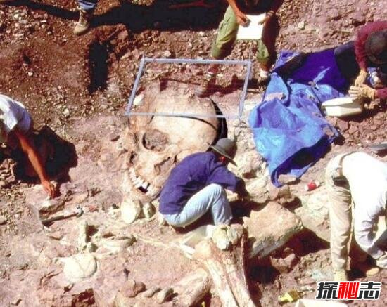 考古界不敢公开的秘密，考古发现5米巨人遗骸吓