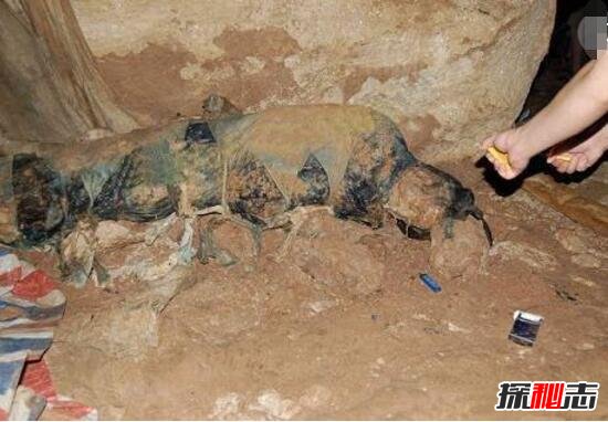 中国广西神秘干尸之谜，工地惊现不腐干尸(防腐